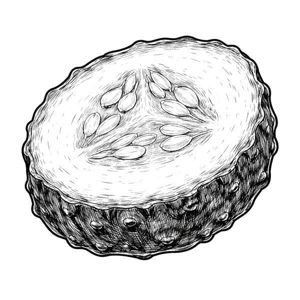 Nice is Different than Good – New Novel Extract by Lori B. Duff